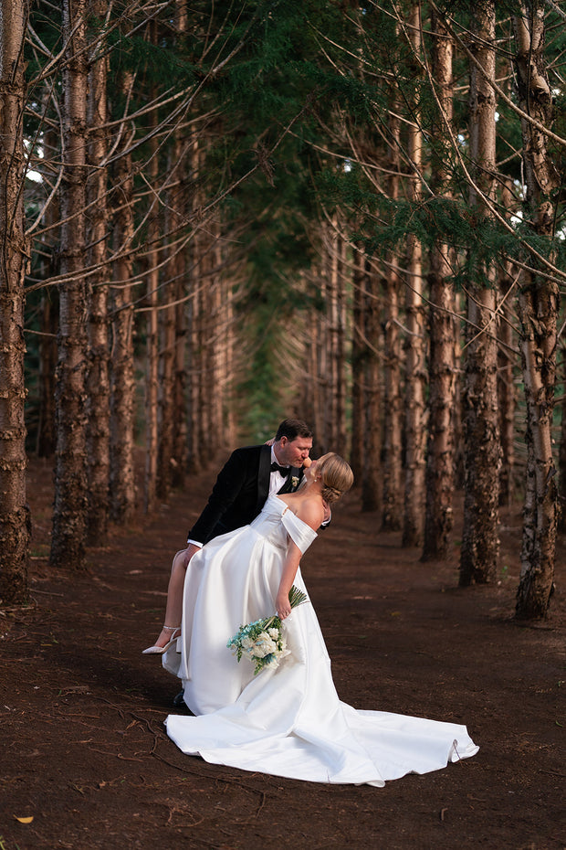 The Pine Tree Forest